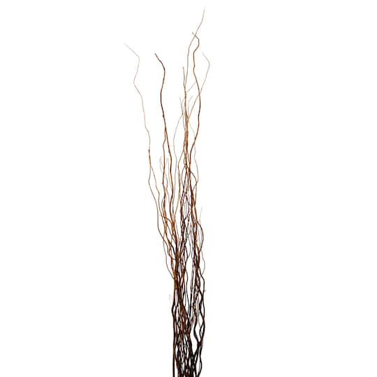 Natural Curly Willow by Ashland®
